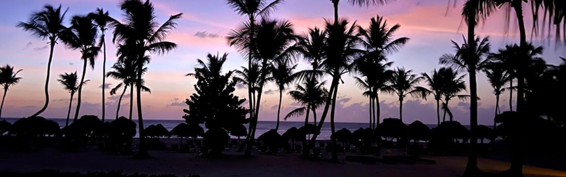 Palm trees and sky