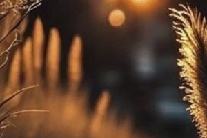 Golden Light with Grains