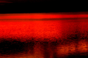 Blood red water abstract